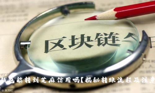 小狐钱包能转到芝麻信用吗？揭秘转账流程及注意事项