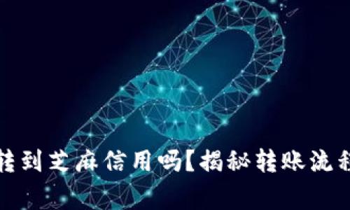 小狐钱包能转到芝麻信用吗？揭秘转账流程及注意事项