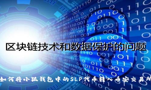 如何将小狐钱包中的SLP代币转入币安交易所