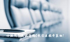 小狐钱包是病毒吗？我们来揭开真相!