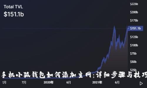 手机小狐钱包如何添加主网：详细步骤与技巧