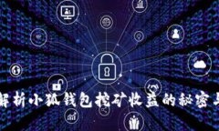 深入解析小狐钱包挖矿收益的秘密与技巧
