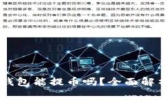 中本聪小狐钱包能提币吗？全面解析与使用指南