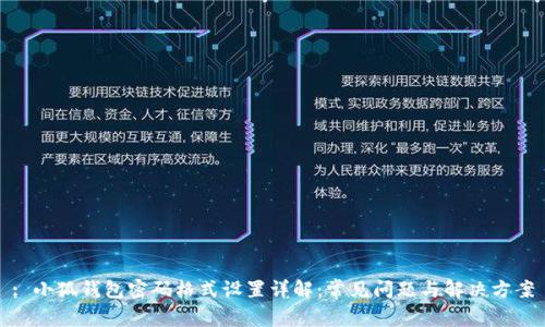 : 小狐钱包密码格式设置详解：常见问题与解决方案