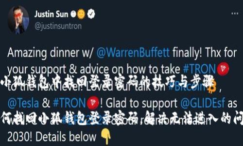 在小狐钱包中找回登录密码的技巧与步骤

如何找回小狐钱包登录密码，解决无法进入的问题