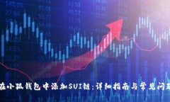 如何在小狐钱包中添加SUI链：详细指南与常见问