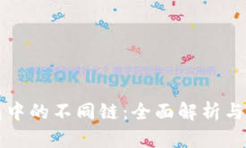 小狐钱包中的不同链：全面解析与使用指南