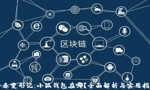 
青春变形记：小狐钱包在哪？全面解析与实用指南