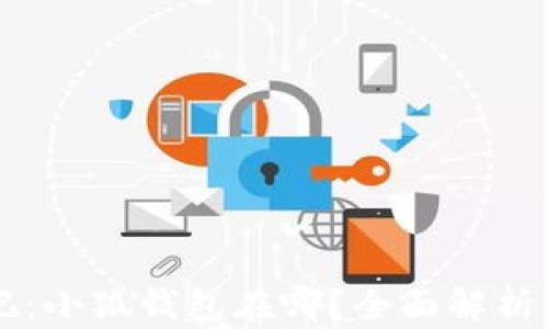 
青春变形记：小狐钱包在哪？全面解析与实用指南