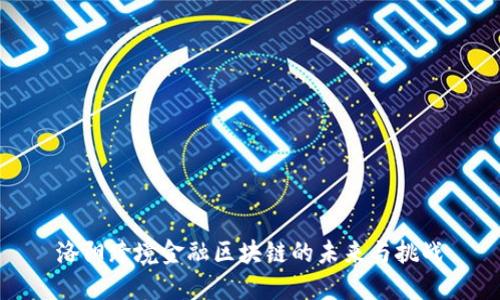 洛阳跨境金融区块链的未来与挑战