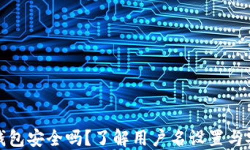小狐钱包安全吗?了解用户名设置与安全性