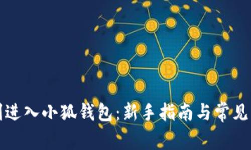 如何顺利进入小狐钱包：新手指南与常见问题解答