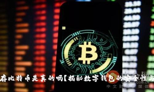 小狐钱包存比特币是真的吗？揭秘数字钱包的安全性与流行趋势