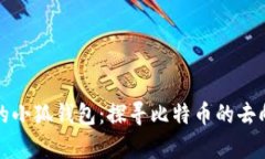 中本聪的小狐钱包：探寻比特币的去向与奥秘