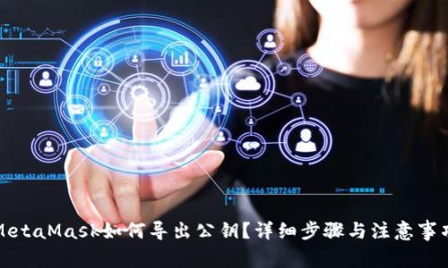 MetaMask如何导出公钥？详细步骤与注意事项