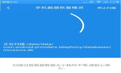 MetaMask如何导出公钥？详细步骤与注意事项