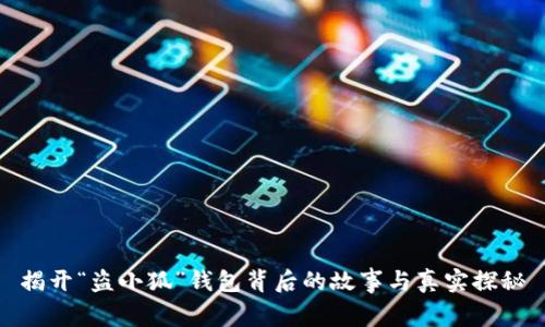 揭开“盗小狐”钱包背后的故事与真实探秘