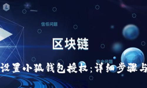 如何设置小狐钱包授权：详细步骤与技巧