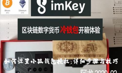 如何设置小狐钱包授权：详细步骤与技巧