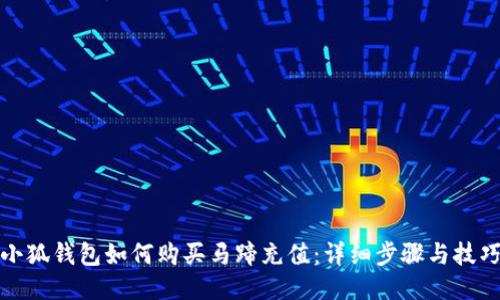小狐钱包如何购买马蹄充值：详细步骤与技巧