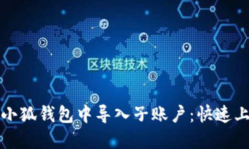 如何在小狐钱包中导入子账户：快速上手指南