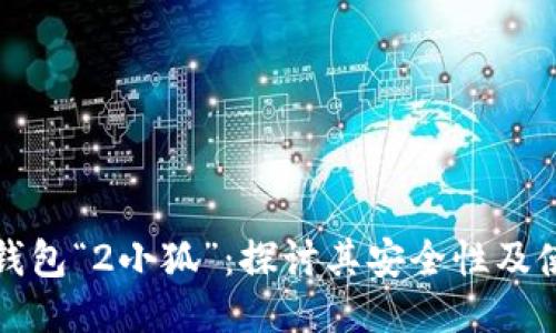 以太坊钱包“2小狐”：探讨其安全性及使用体验