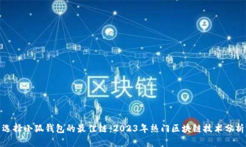 选择小狐钱包的最佳链：2023年热门区块链技术分析