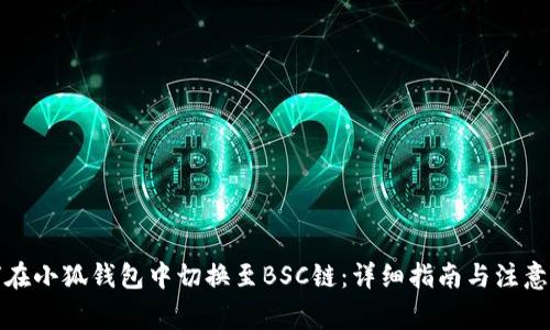 如何在小狐钱包中切换至BSC链：详细指南与注意事项