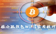如何顺利连接小狐钱包WiFi？实用技巧与注意事项