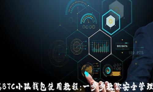 
中本聪BTC小狐钱包使用教程：一步步教你安全管理比特币