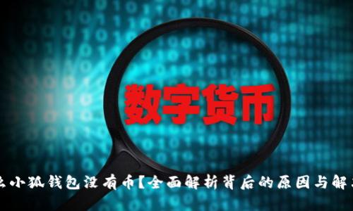 为什么小狐钱包没有币？全面解析背后的原因与解决方案