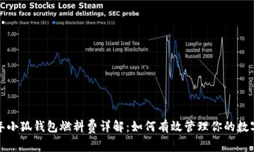 2023年小狐钱包燃料费详解：如何有效管理你的数字资产？
