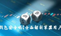 使用小狐钱包安全吗？全面解析苹果用户的安全