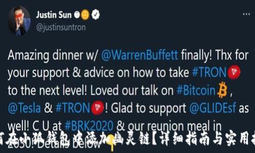 如何在小狐钱包中添加幽灵链?详细指南与实用技巧