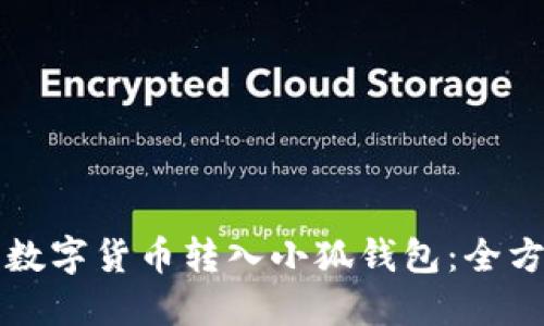 如何将数字货币转入小狐钱包：全方位指南