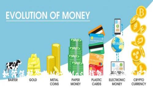 如何保护你的MetaMask钱包免受盗窃风险