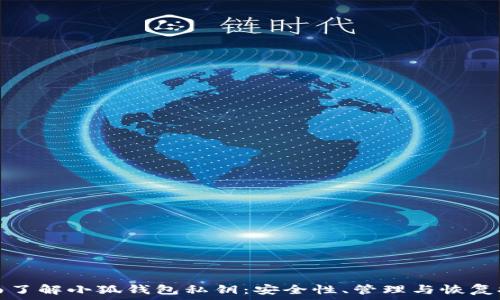   
全面了解小狐钱包私钥：安全性、管理与恢复技巧